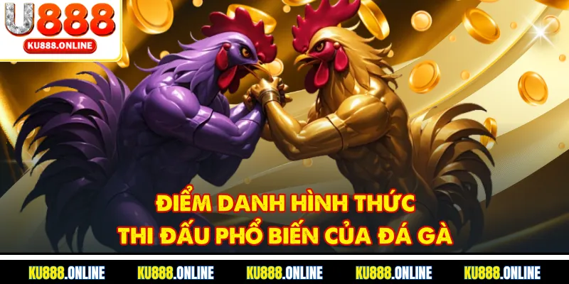 Điểm danh hình thức thi đấu phổ biến của đá gà